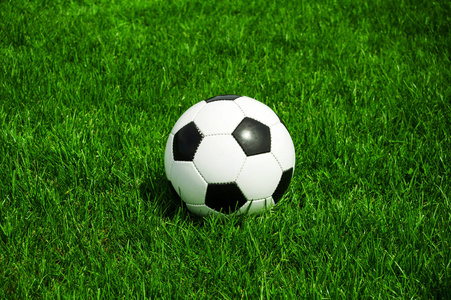 新用户使用感受分享