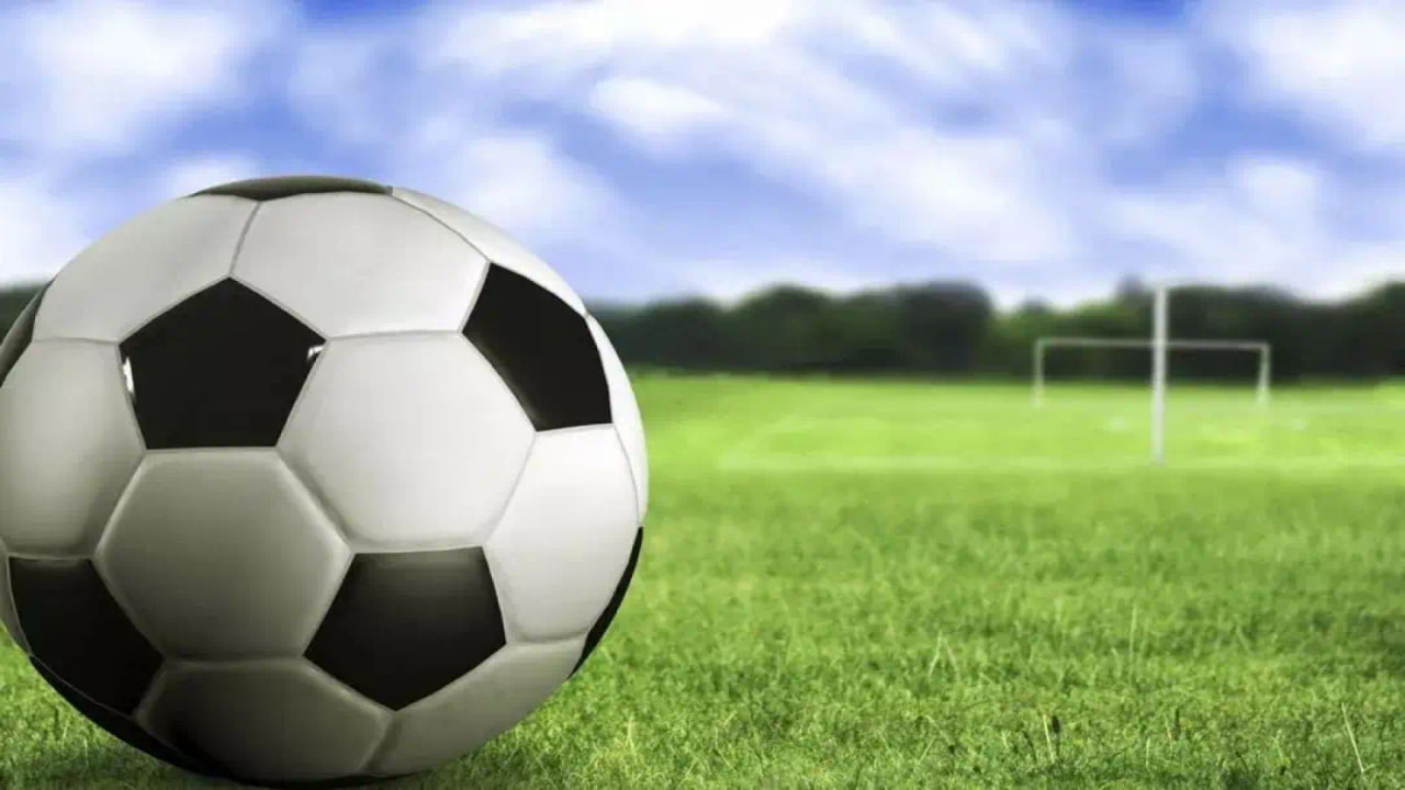 用户案例展示图片